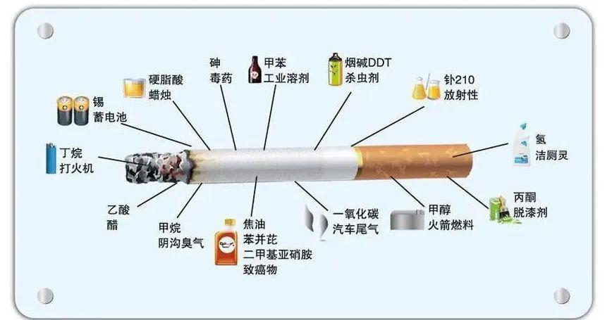 如何有效分解香烟焦油 第1张